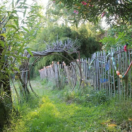 Bed & Breakfast Abbaye De Villelongue Saint-Martin-le-Vieil